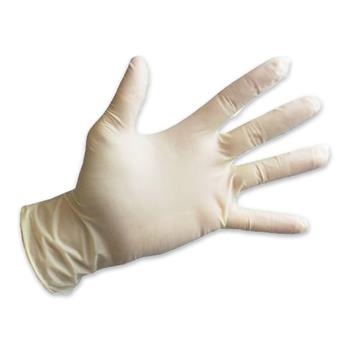 W.B. Mason Co. Powder-Free Exam Gloves, Latex, Large, 100/BX