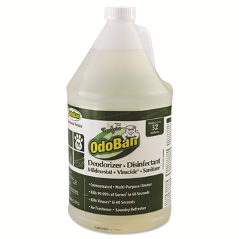 OdoBan&#174; Concentrated Odor Eliminator, Eucalyptus, 1gal Bottle