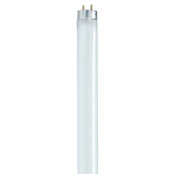 Satco T8 Fluorescent Bulbs, 32W, 30/Carton