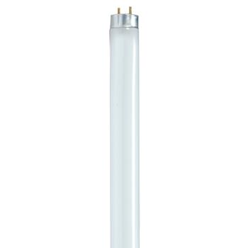 Satco T8 Fluorescent Bulb, 25W, 30/Carton