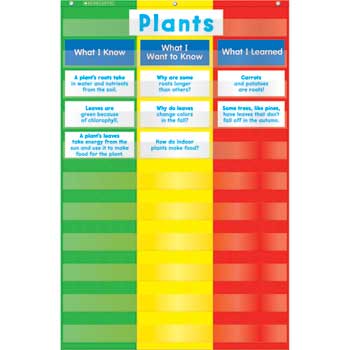 Scholastic 3-Column Pocket Chart