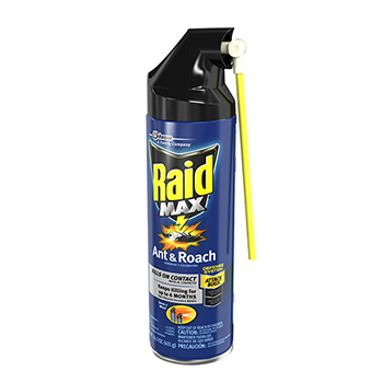 Raid Ant &amp; Roach Killer, 14.5 oz. Spray Can, 6/CT