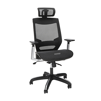 SuperSeats Full Mesh Office Chair with Headrest, Lumbar Support, Black