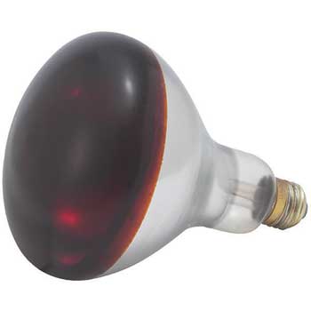 Winco Bulb for EHL 2, 250 W, Red