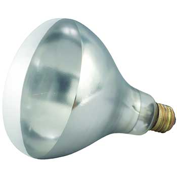 Winco Bulb for WNCEHL2, White, 250W