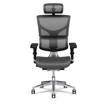 X-Chair X2 Elemax Cooling Heating and Massage Management Chair with Headrest, Grey