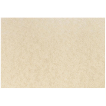 JAM Paper Blank Flat Note Cards, Parchment, 4.63&quot; x 6.25&quot;, Natural, 500 Cards/Carton