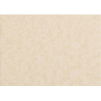 JAM Paper Blank Flat Note Cards, Parchment, 3.5&quot; x 4.88&quot;, Natural, 50 Cards/Pack