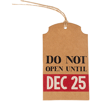 JAM Paper Holiday Gift Tags, 4 1/4&quot; x 2 3/8&quot;, Do Not Open, 16/PK