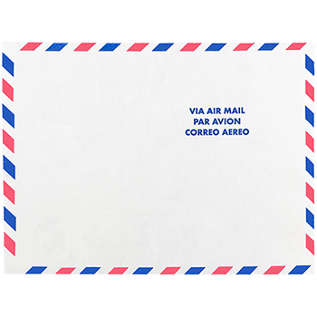 JAM Paper Tyvek&#174; Tear-Proof Open End Catalog Envelopes, 9&quot; x 12&quot;, White Airmail, 500/CT