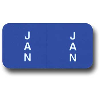 Auto Supplies Month January Ring Book, 270/PK