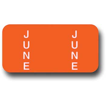 Auto Supplies Month June Ring Book, 270/PK