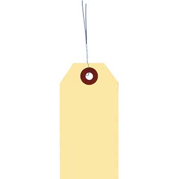 Auto Supplies Manila Tag With Wire Inserted, TWW-8, 1000/BX