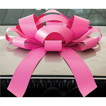 Auto Supplies JUM-BOW Magnetic Car Bow, Vinyl, Pink, 30&quot;