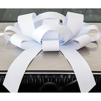 Auto Supplies JUM-BOW Magnetic Car Bow, Vinyl, White, 30&quot;