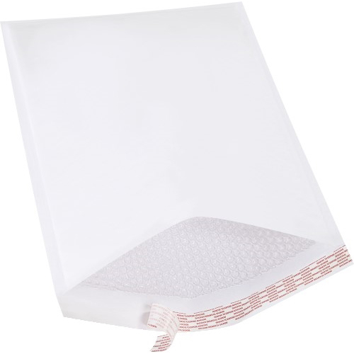 BPTB860WSS25PK CS