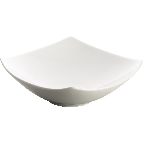 WNCWDP013101 CS