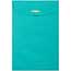 JAM Paper Open End Catalog Envelopes with Clasp Closure, 6" x 9", Sea Blue Recycled, 100/BX Thumbnail 2