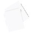 Avery® Big Tab™ Insertable Extra-Wide Dividers, Clear Tabs, 8-Tab Set Thumbnail 4