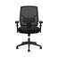 HON Crio High-Back Task Chair, Mesh Back, Adjustable Arms, Adjustable Lumbar, Black Thumbnail 2