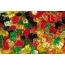Dutch Treat Mini Gummy Bears, 10 lb. Case Thumbnail 1