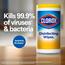 Clorox® Disinfecting Wipes Value Pack, Bleach Free Cleaning Wipes, 75 Count, 12/CT Thumbnail 3