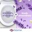 Clorox® Scentiva Toilet Cleaning Gel, Bleach Free, Tuscan Lavender & Jasmine, 24 oz. Thumbnail 2