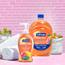 Softsoap Antibacterial Hand Soap, Crisp Clean, 11 1/4 oz Pump Bottle, 6/Carton Thumbnail 9