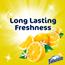Fabuloso® Multi-Use Cleaner, Lemon Scent, 169 oz. Bottle Thumbnail 7