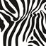 Duck® Printed Duct Tape, 1.88" x 10 yds., 9 Mil, 3" Core, Zebra Thumbnail 4