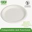 Eco-Products® Renewable & Compostable Sugarcane Plates, 9", 50/PK Thumbnail 5