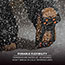 ergodyne® Trex® 6300TC L Black One-Piece Slip-on Ice Cleats - Tungsten Carbide Thumbnail 3