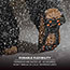 ergodyne® Trex™ 6300 Ice Traction Device, Medium, One Piece, Black Thumbnail 3