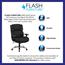 Flash Furniture HERCULES Series 24/7 Intensive Use Big & Tall, Black Fabric Executive Ergonomic Office Chair w/ Lumbar Knob Thumbnail 11