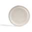 Green Wave Bagasse Plate, 10", 500/CT Thumbnail 1