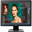 HP ProDisplay P19A 19-inch LED Backlit Monitor Thumbnail 1