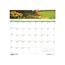 House of Doolittle Recycled Gardens of the World Monthly Wall Calendar, 12" x 12", 2023 Thumbnail 1