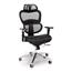 OFM Ergo Office Chair featuring Mesh Back and Seat with Optional Headrest, Black Thumbnail 1
