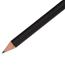 Paper Mate® Mirado Black Warrior Woodcase Pencil, HB #2, Black Matte, Dozen Thumbnail 5