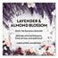 Air Wick Essential Mist Starter Kit, Lavender and Almond Blossom, 0.67 oz, 4/Carton Thumbnail 8