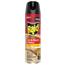 Raid® Fragrance Free Ant & Roach Killer, 17.5 oz Aerosol Can Thumbnail 1