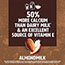 Silk® Dark Chocolate Almond Milk, 8 oz. Cartons, 18/CS Thumbnail 4