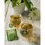 TWININGS® Tea Bags, Green Tea, 50/BX Thumbnail 4