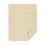 Astrobrights Colored Cardstock, 65 lb, 8.5" x 11", Natural Parchment, 250 Sheets/Pack Thumbnail 2
