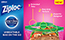 Ziploc® Resealable Sandwich Bags, 1.2mil, 6 1/2 x 6, Clear, 500/BX Thumbnail 2