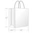 Duro Bag Bistro Shopping Bag, Kraft, 10" x 6.5" x 12", 60 Lb., 250/CT Thumbnail 1